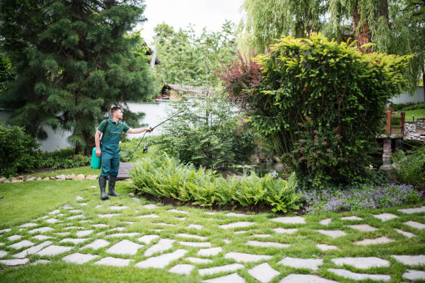 Best Residential Pest Control  in Altamonte Springs, FL