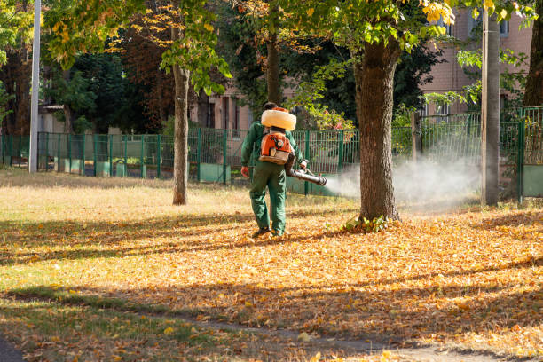 Professional Pest Control in Altamonte Springs, FL