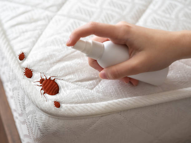 Best Commercial Pest Control Services  in Altamonte Springs, FL