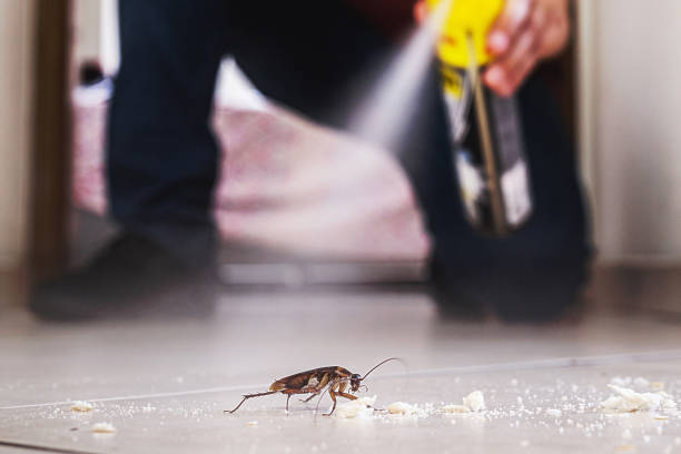 Best Cockroach Control Services  in Altamonte Springs, FL