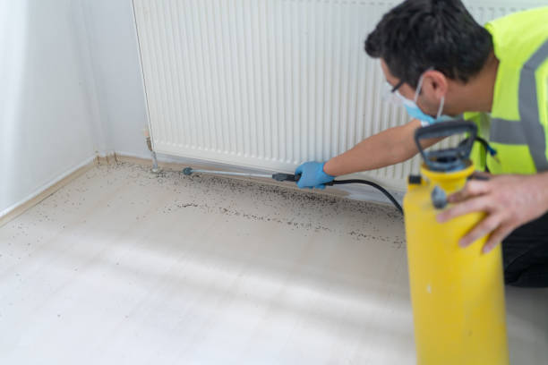 Best Bed Bug Extermination  in Altamonte Springs, FL